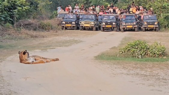 15 नवंबर से खुलेगा ढिकाला पर्यटन जोन, 21 दिसंबर तक बुकिंग फुल